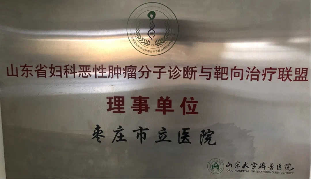 山东省妇科恶性肿瘤分子诊断与靶向治疗联盟.jpg